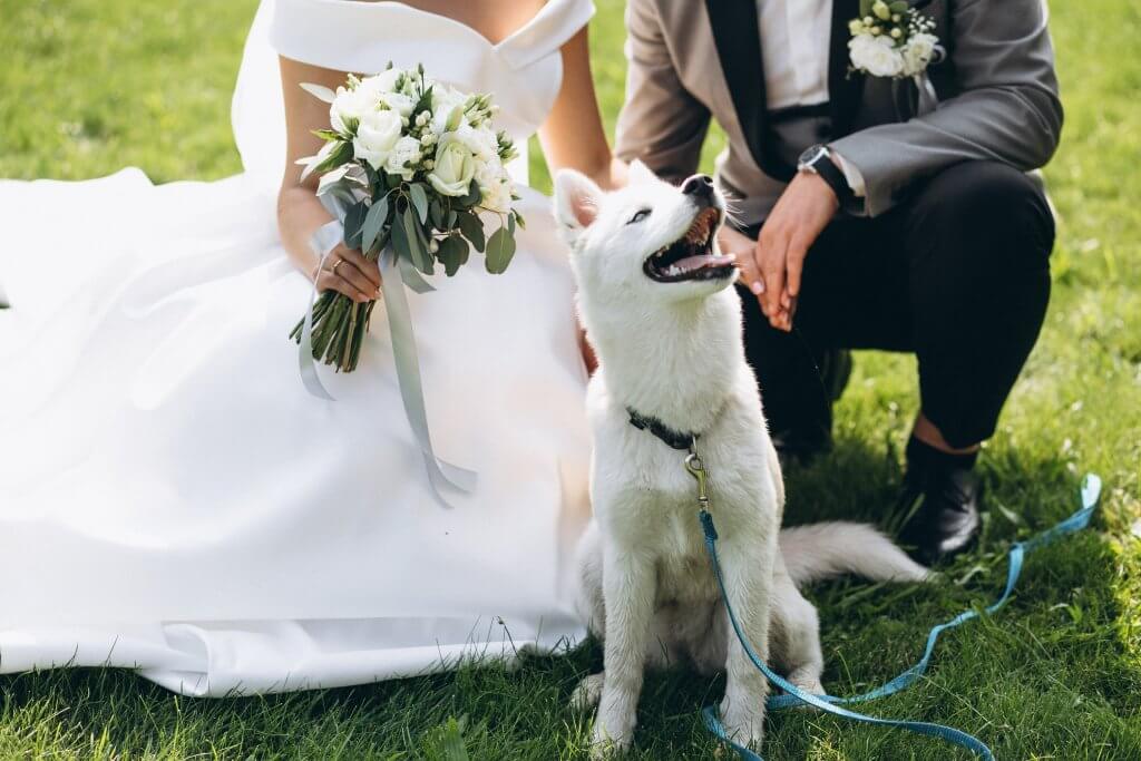 結婚好日子